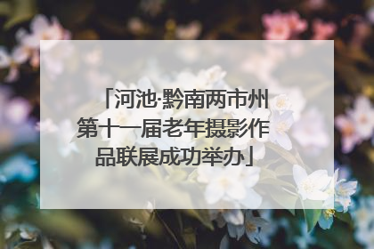 河池·黔南两市州第十一届老年摄影作品联展成功举办