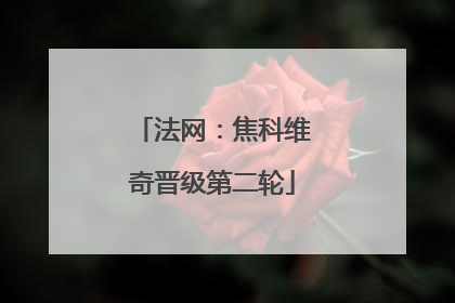 法网：焦科维奇晋级第二轮