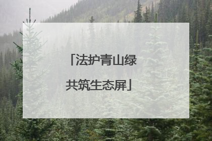 法护青山绿 共筑生态屏