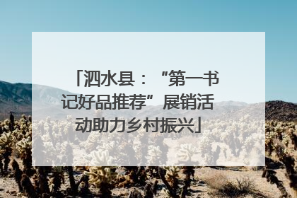 泗水县：“第一书记好品推荐”展销活动助力乡村振兴
