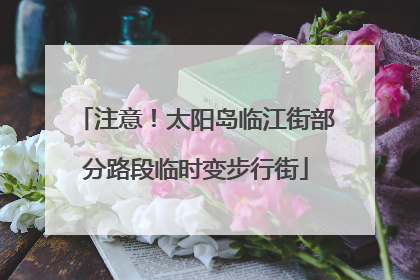 注意！太阳岛临江街部分路段临时变步行街