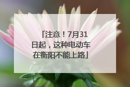 注意！7月31日起，这种电动车在衡阳不能上路