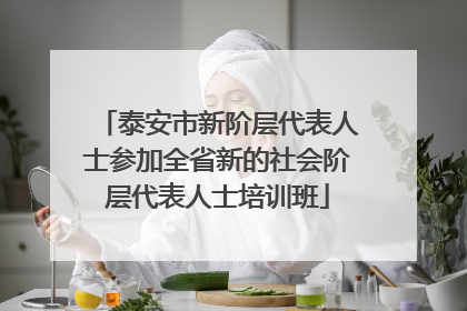 泰安市新阶层代表人士参加全省新的社会阶层代表人士培训班