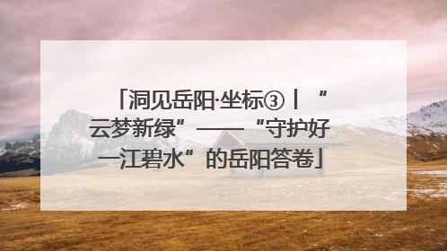 洞见岳阳·坐标③丨“云梦新绿”——“守护好一江碧水”的岳阳答卷