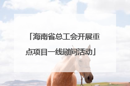 海南省总工会开展重点项目一线慰问活动