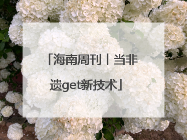 海南周刊丨当非遗get新技术
