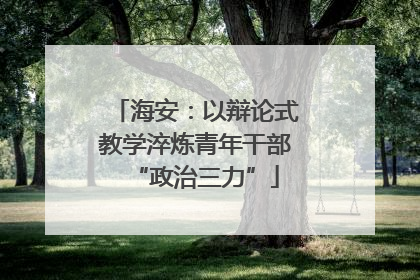 海安：以辩论式教学淬炼青年干部“政治三力”