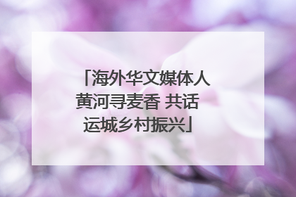 海外华文媒体人黄河寻麦香 共话运城乡村振兴