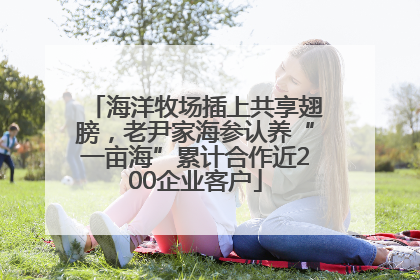 海洋牧场插上共享翅膀，老尹家海参认养“一亩海”累计合作近200企业客户