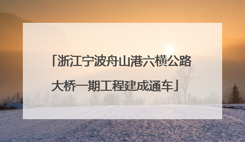 浙江宁波舟山港六横公路大桥一期工程建成通车