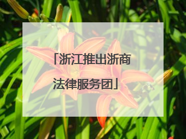 浙江推出浙商法律服务团