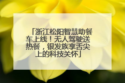 浙江松阳智慧助餐车上线！无人驾驶送热餐，银发族享舌尖上的科技关怀