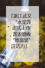 浙江武义：“水果莲”正式上市，莲农增收“致富果”注活力