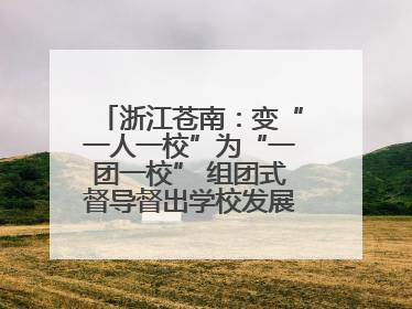 浙江苍南：变“一人一校”为“一团一校” 组团式督导督出学校发展加速度