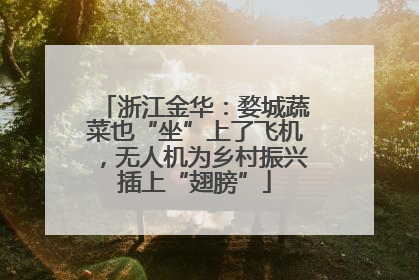 浙江金华：婺城蔬菜也“坐”上了飞机，无人机为乡村振兴插上“翅膀”