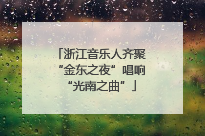 浙江音乐人齐聚“金东之夜”唱响“光南之曲”
