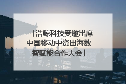 浩鲸科技受邀出席中国移动中资出海数智赋能合作大会
