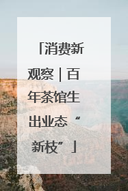 消费新观察｜百年茶馆生出业态“新枝”
