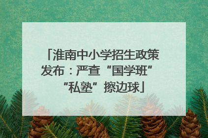 淮南中小学招生政策发布：严查“国学班”“私塾”擦边球