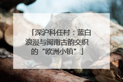 深沪科任村：蓝白浪漫与闽南古韵交织的“欧洲小镇”