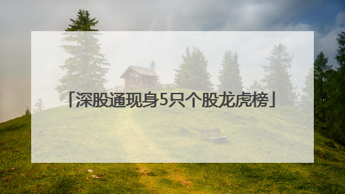 深股通现身5只个股龙虎榜