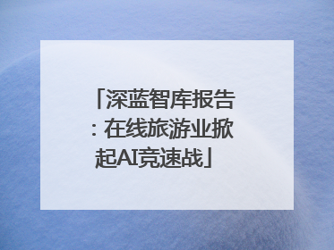 深蓝智库报告：在线旅游业掀起AI竞速战