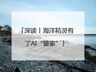 深读丨海洋精灵有了AI“管家”