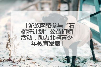 游族网络参与“石榴籽计划”公益捐赠活动，助力北疆青少年教育发展