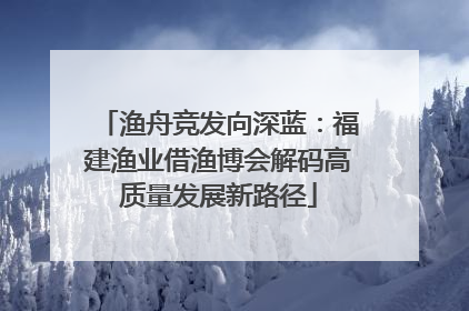 渔舟竞发向深蓝：福建渔业借渔博会解码高质量发展新路径
