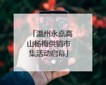 温州永嘉高山杨梅供销市集活动启幕