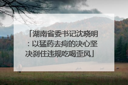 湖南省委书记沈晓明：以猛药去疴的决心坚决刹住违规吃喝歪风