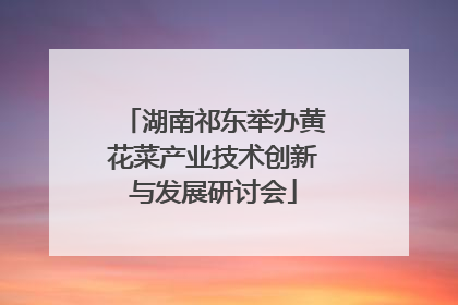 湖南祁东举办黄花菜产业技术创新与发展研讨会