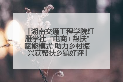 湖南交通工程学院红雁学社“电商+帮扶”赋能模式 助力乡村振兴获帮扶乡镇好评