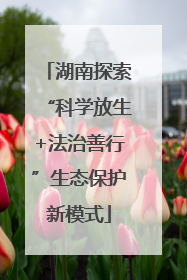 湖南探索“科学放生+法治善行”生态保护新模式