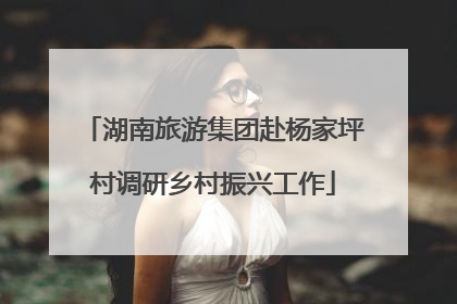 湖南旅游集团赴杨家坪村调研乡村振兴工作