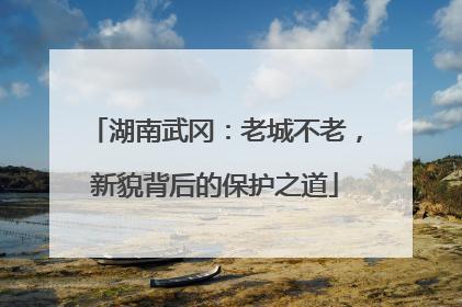 湖南武冈：老城不老，新貌背后的保护之道