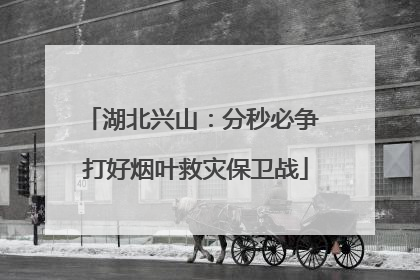 湖北兴山：分秒必争 打好烟叶救灾保卫战