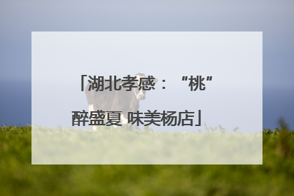 湖北孝感：“桃”醉盛夏 味美杨店