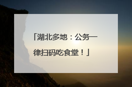 湖北多地：公务一律扫码吃食堂！