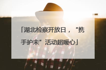 湖北检察开放日，“携手护未”活动超暖心
