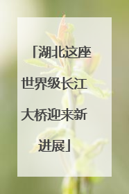 湖北这座世界级长江大桥迎来新进展