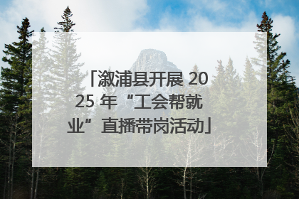 溆浦县开展 2025 年“工会帮就业”直播带岗活动
