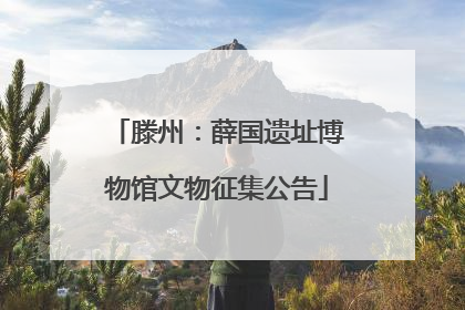 滕州：薛国遗址博物馆文物征集公告