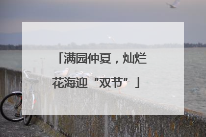 满园仲夏，灿烂花海迎“双节”