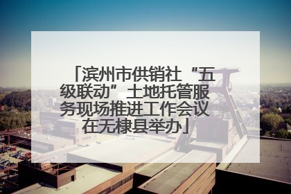 滨州市供销社“五级联动”土地托管服务现场推进工作会议在无棣县举办