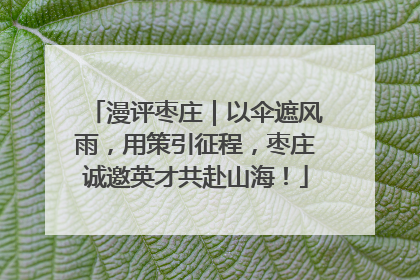 漫评枣庄｜以伞遮风雨，用策引征程，枣庄诚邀英才共赴山海！