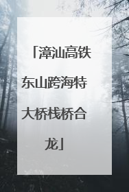 漳汕高铁东山跨海特大桥栈桥合龙