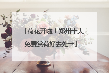 荷花开啦！郑州十大免费赏荷好去处→