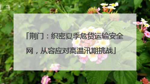 荆门：织密夏季危货运输安全网，从容应对高温汛期挑战