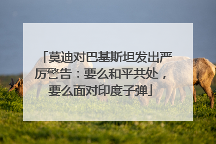莫迪对巴基斯坦发出严厉警告：要么和平共处，要么面对印度子弹